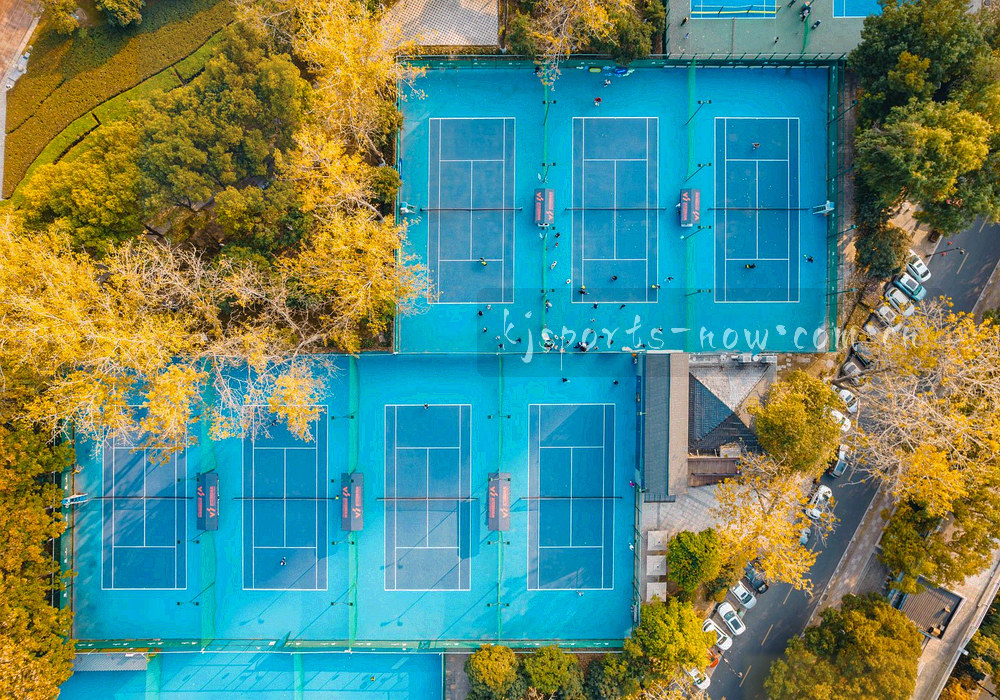 多条赛季战绩线交织的等宽刻度抽象图形
